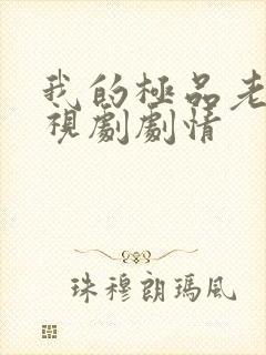 我的极品老婆电视剧剧情