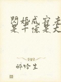 闪婚成宠老公竟是千亿是大佬