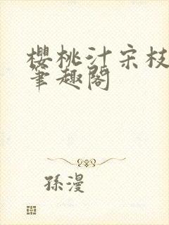 樱桃汁宋枝江野笔趣阁