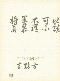 将军不可以魏云真慕迟小说笔趣阁