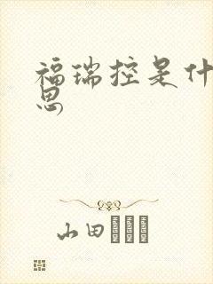 福瑞控是什么意思