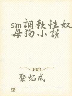 sm调教性奴隶母狗小说封面