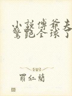 小说傅爷夫人又惊艳全球了免费