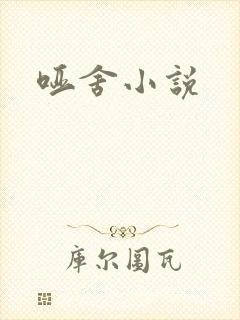 哑舍小说封面