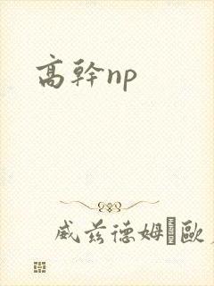 高干np