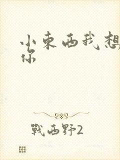 小东西我想弄坏你封面