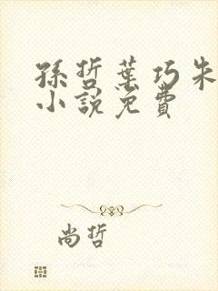 孙哲叶巧朱颜的小说免费