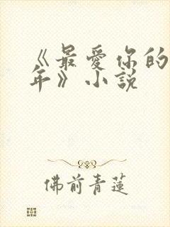 《最爱你的那十年》小说