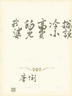 我的高冷总裁老婆免费小说