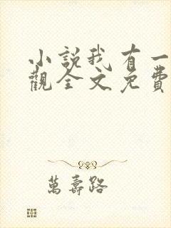 小说我有一剑叶观全文免费阅读封面