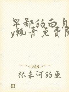 卑鄙的白月光by辄青免费阅读