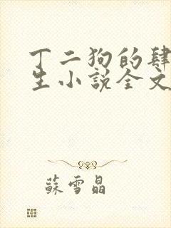丁二狗的肆意人生小说全文封面