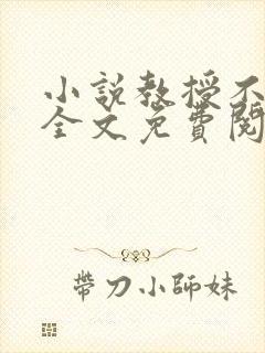 小说教授不可以全文免费阅读封面