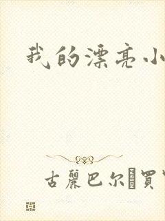 我的漂亮小后妈