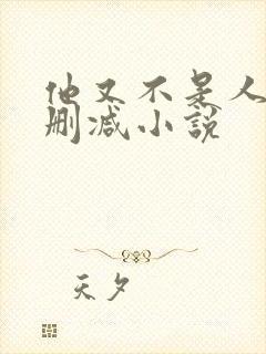 他又不是人了无删减小说封面