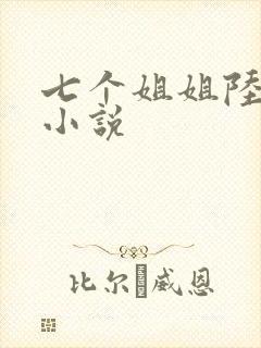 七个姐姐陆云的小说