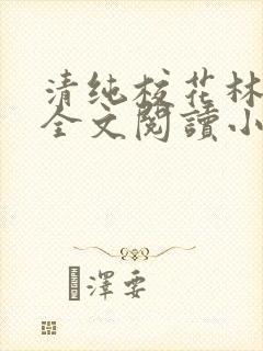 清纯校花林思琪全文阅读小说