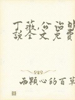 丁薇,公治明小说全文免费阅读全章节封面