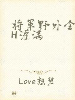 将军野外含公主H灌满