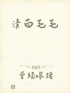 清白毛毛