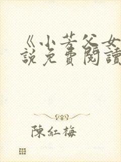 《小芳父女》小说免费阅读封面