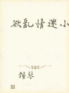 欲乱情迷小说