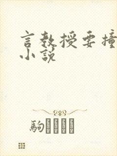 言教授要撞坏了小说