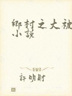 乡村之大被同眠小说封面