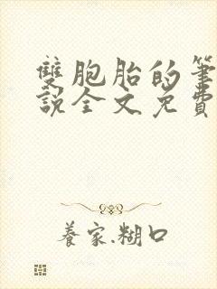 双胞胎的笔记小说全文免费阅读大结局