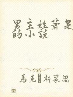 男主姓萧是世子的小说