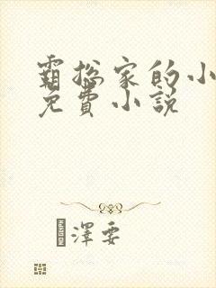 霸总家的小奶狼免费小说封面