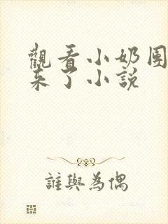 观看小奶团穿回来了小说