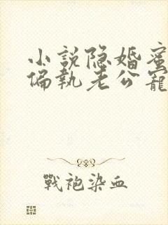 小说隐婚蜜爱:偏执老公宠上瘾免费看封面