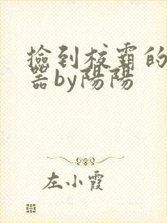 捡到校霸的遥控器by阳阳封面