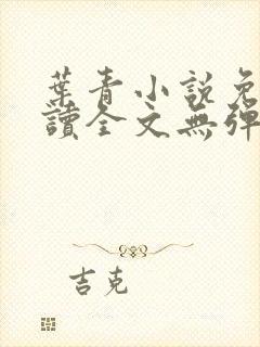 叶青小说免费阅读全文无弹窗