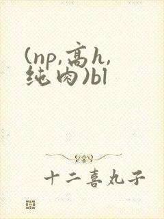 (np,高h,纯肉)bl