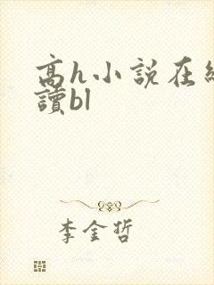 高h小说在线阅读bl