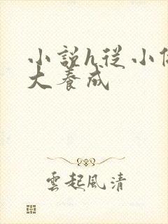 小说h从小做到大养成封面
