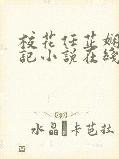 校花任芷娴的日记小说在线阅读封面