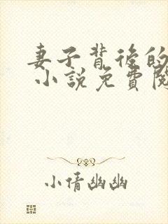 妻子背后的秘密 小说免费阅读封面