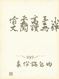 偷香高手小说全文阅读无弹窗