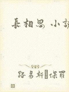 长相思 小说
