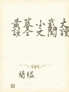 黄蓉小武大武小说全文阅读