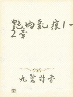 艳肉乱痕1一12章