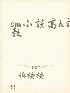 sm小说高h调教