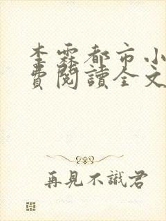 李霖都市小说免费阅读全文封面