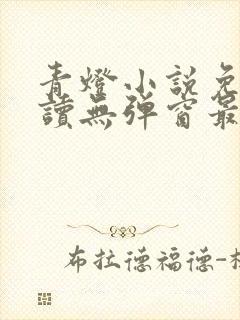 青灯小说免费阅读无弹窗最新章节