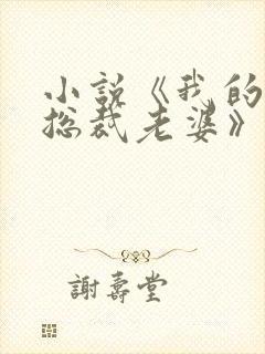 小说《我的冷艳总裁老婆》