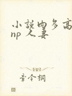 小说肉多高h np 人妻