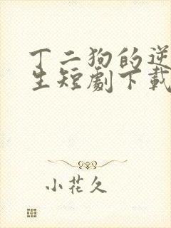 丁二狗的逆袭人生短剧下载